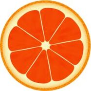 grapefruit for the dukan diet